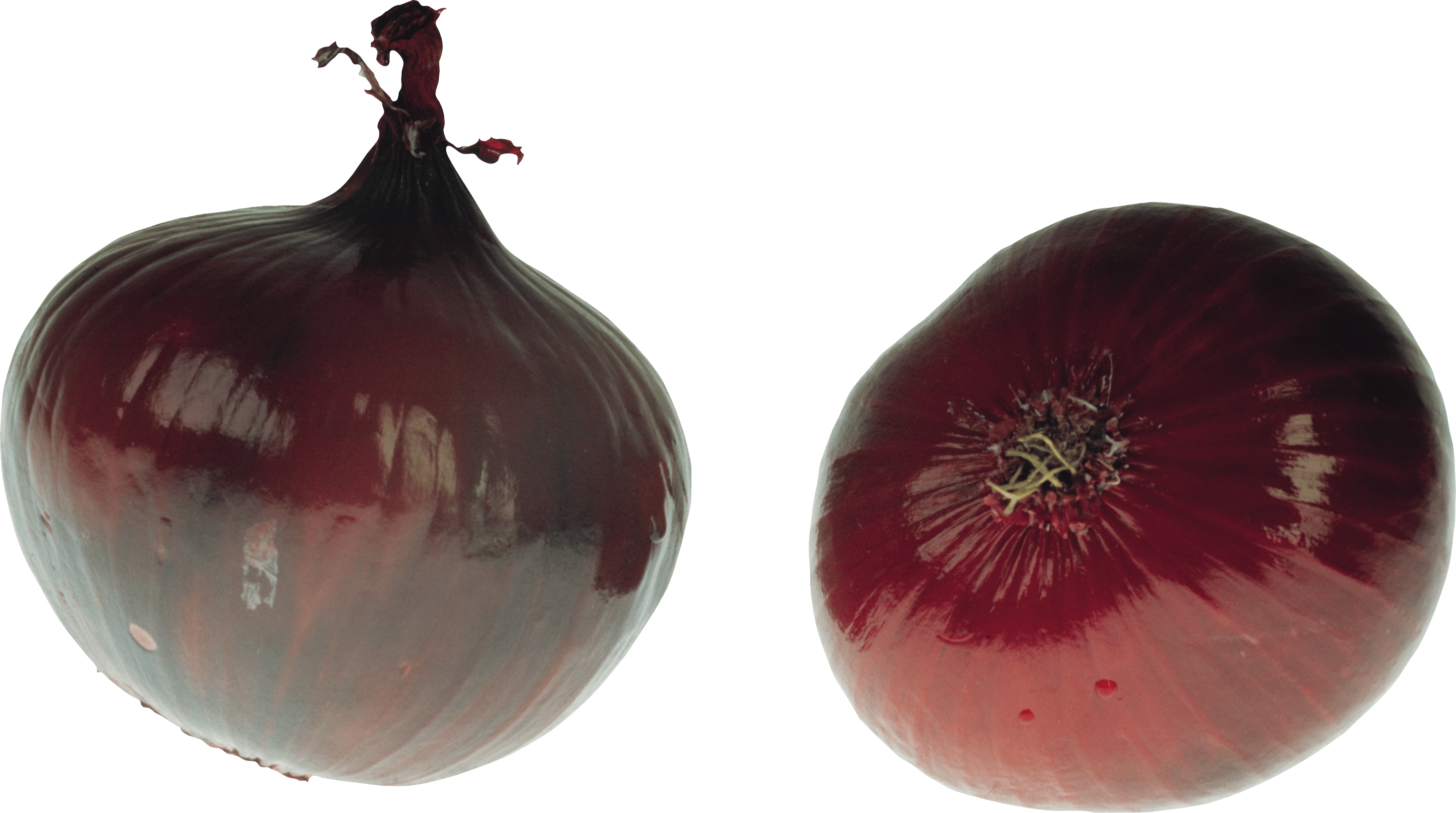 Onion Transparent PNG Image