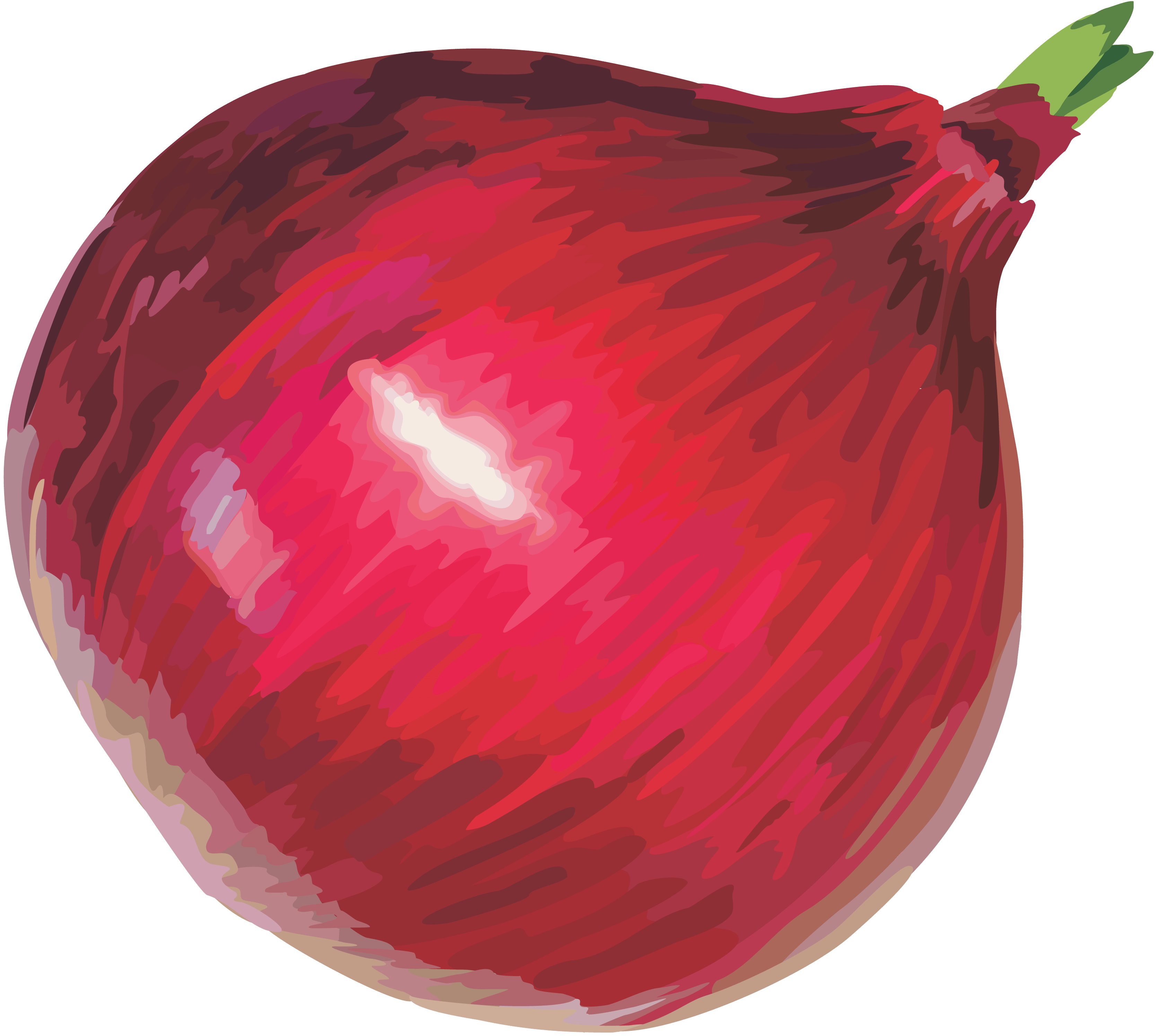 Red Onion Transparent PNG Image