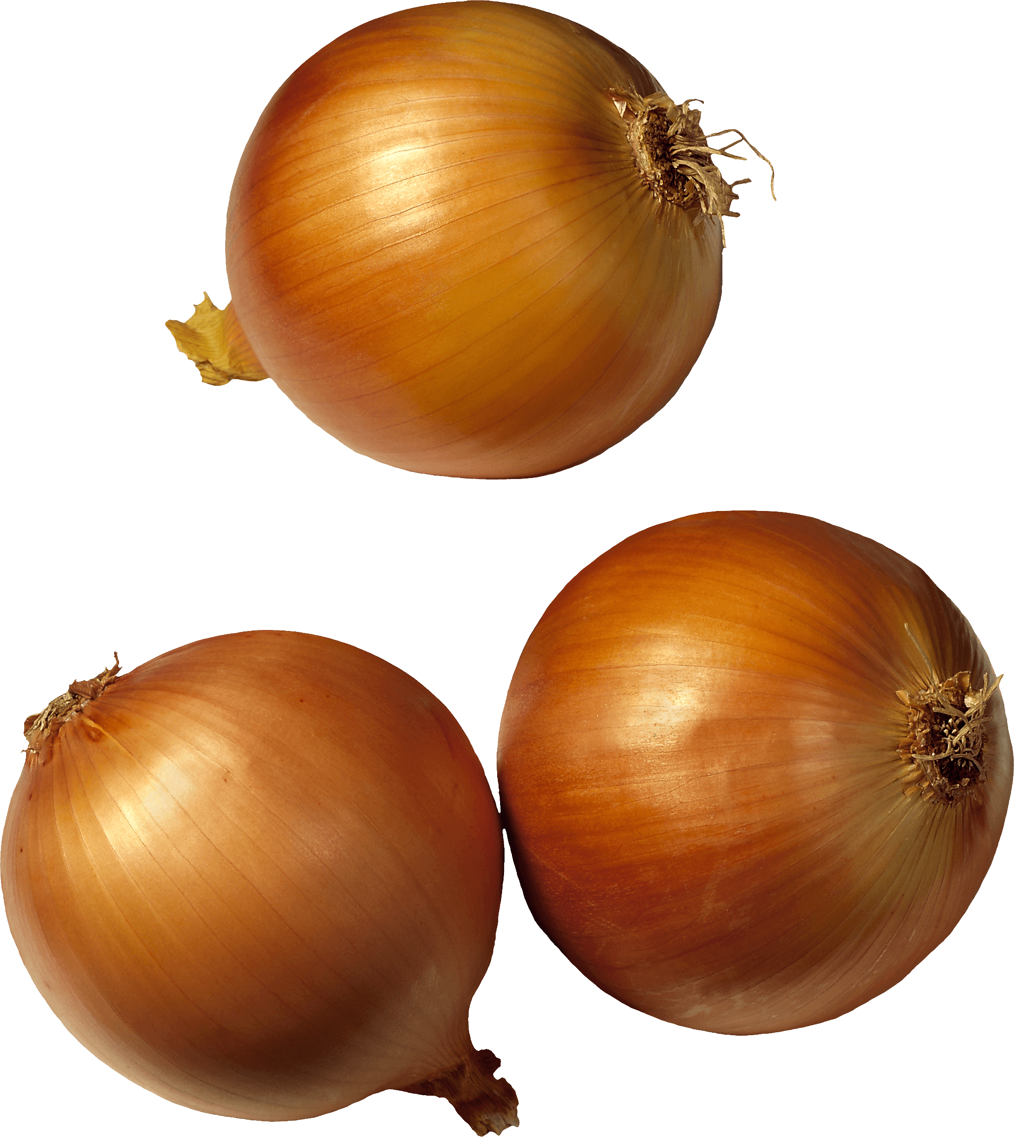Onion Transparent PNG Image