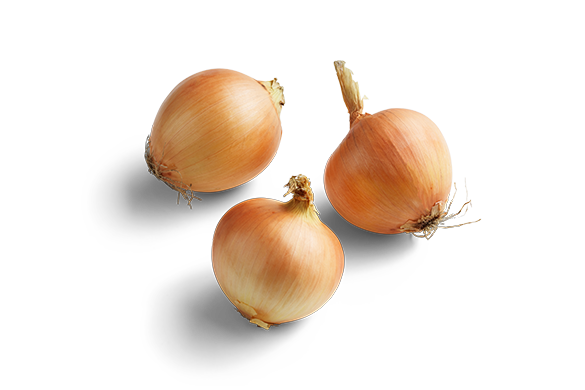 Brown Onion Transparent PNG Image