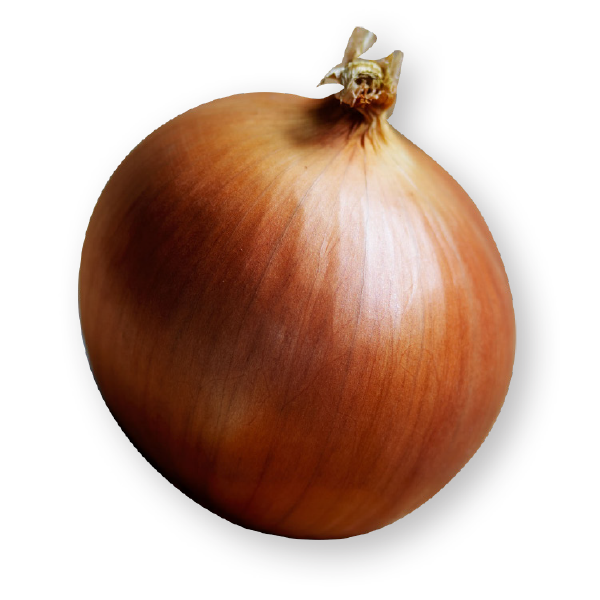 Brown Onion Transparent PNG Image