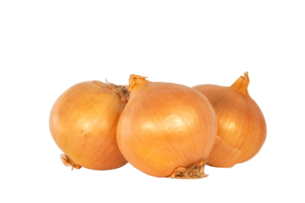 Brown Onion Transparent PNG Image