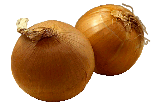 Brown Onion Transparent PNG Image