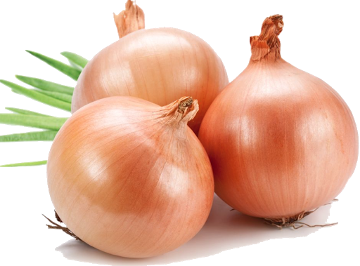 Brown Onion Bunch Transparent PNG Image