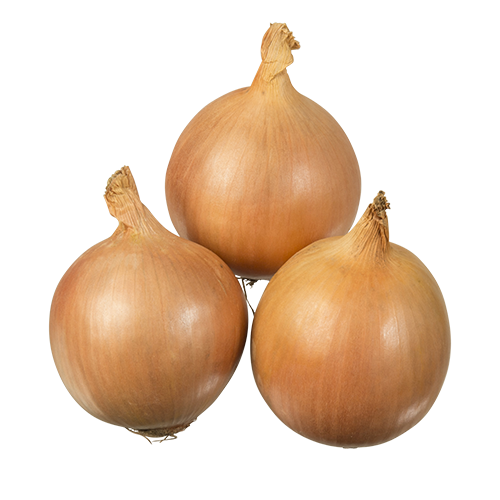 Brown Onion Bunch Transparent PNG Image