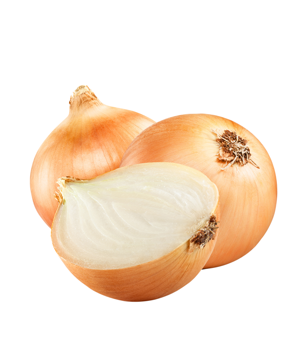 Brown Slice Onion File Transparent PNG Image