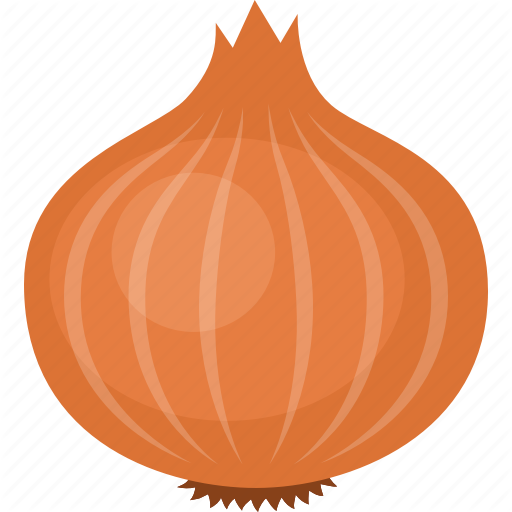 Brown Vector Onion Transparent PNG Image
