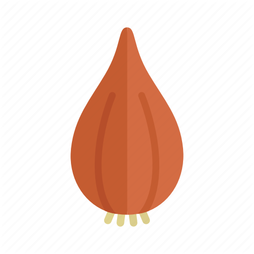Brown Vector Onion Transparent PNG Image