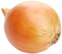 Onion Transparent PNG Image