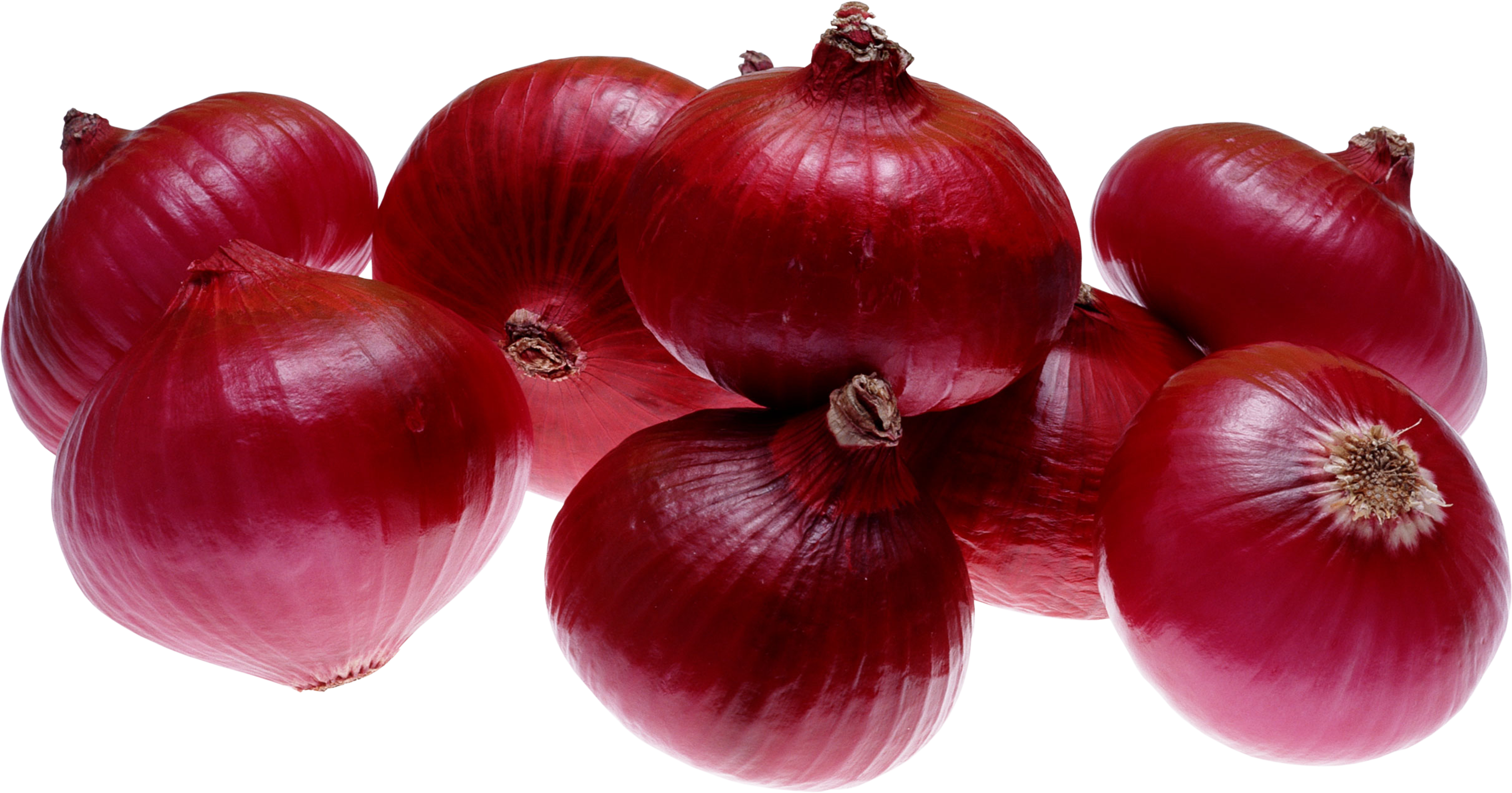 Fresh Onion Transparent PNG Image