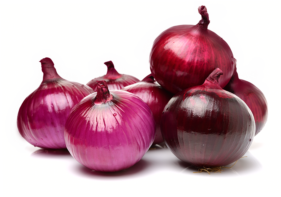 Fresh Onion Transparent PNG Image