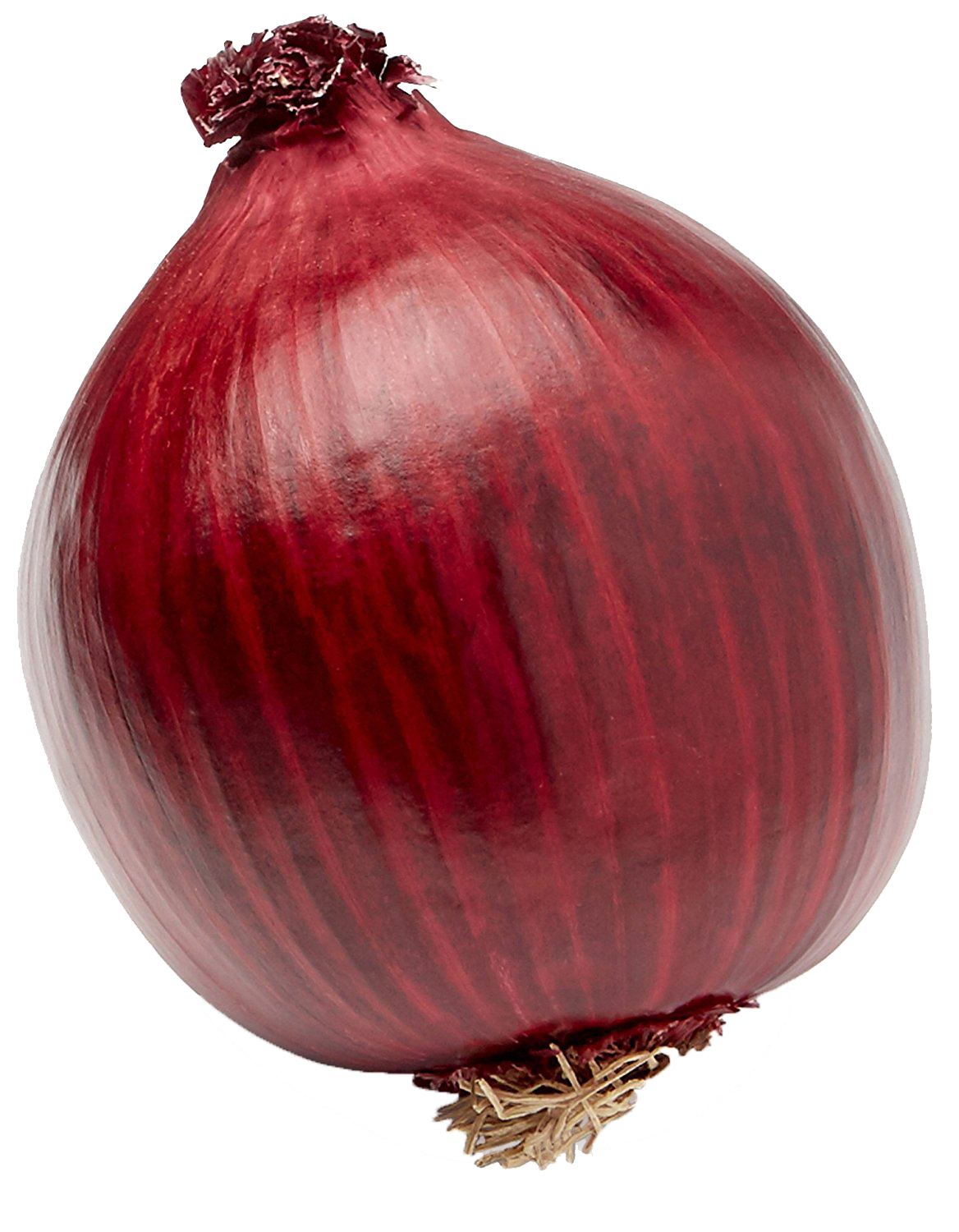 Fresh Onion File Transparent PNG Image