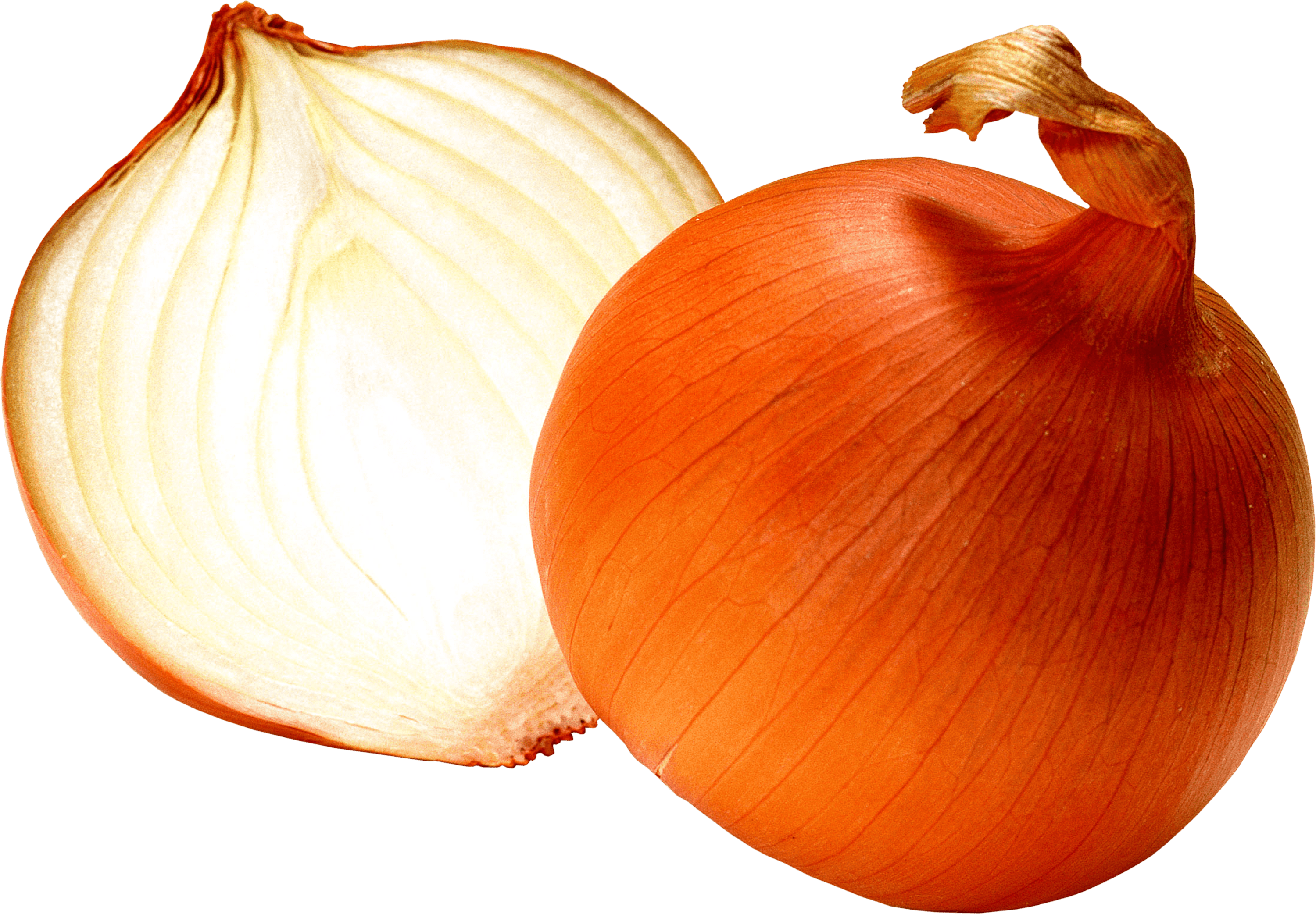 Onion Half Transparent PNG Image