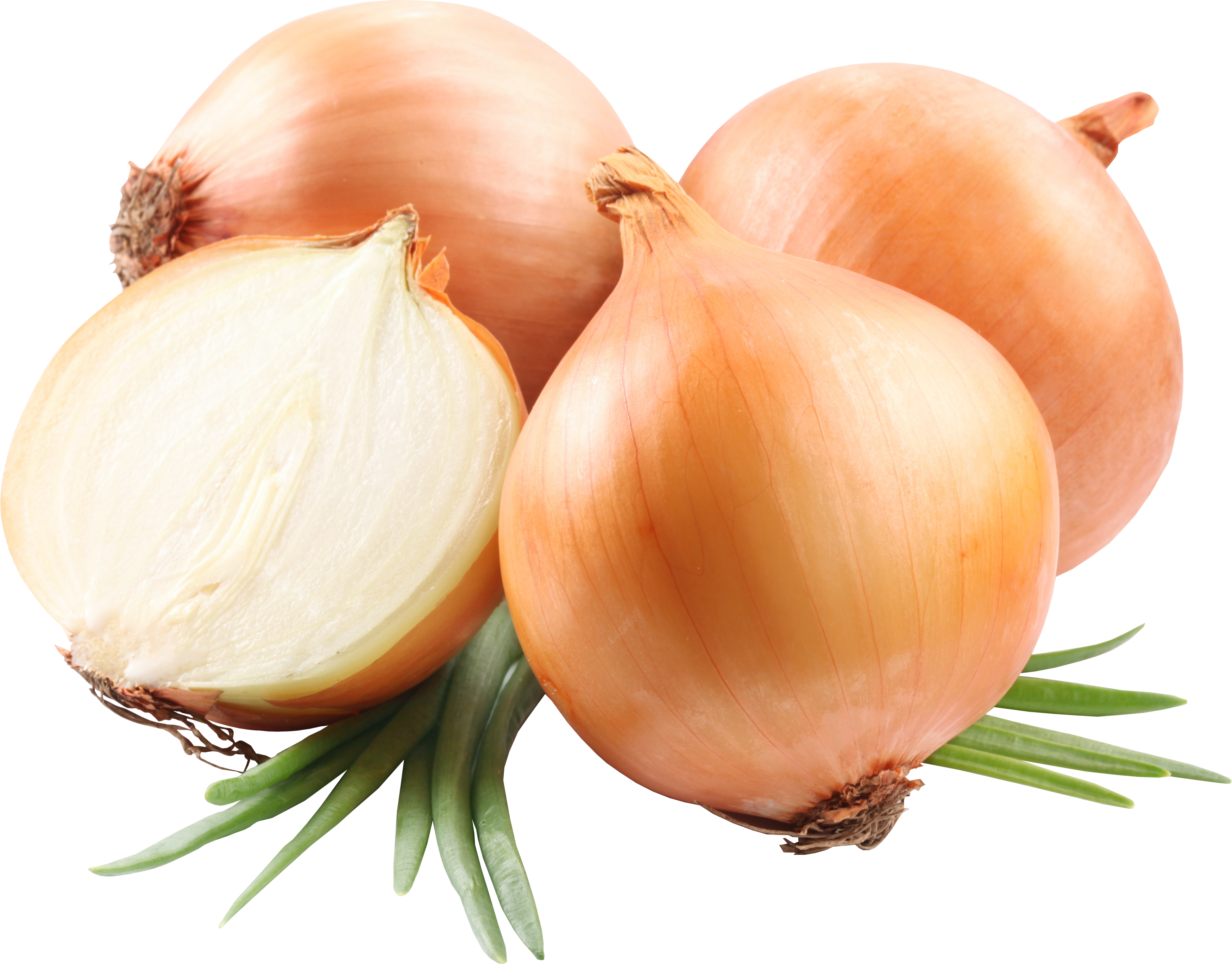 Onion Half Transparent PNG Image