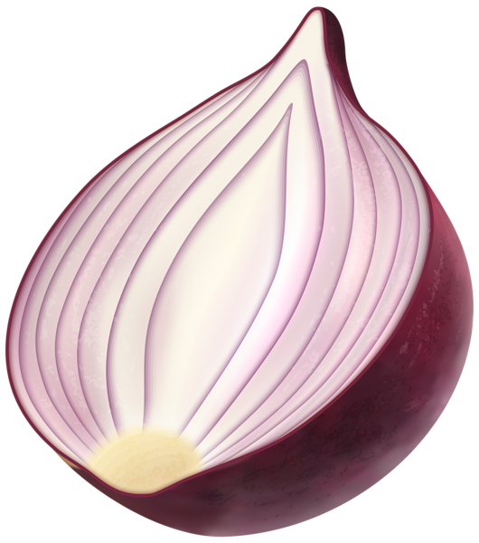 Onion Half Transparent PNG Image