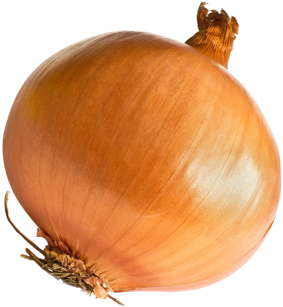 Onion Transparent PNG Image