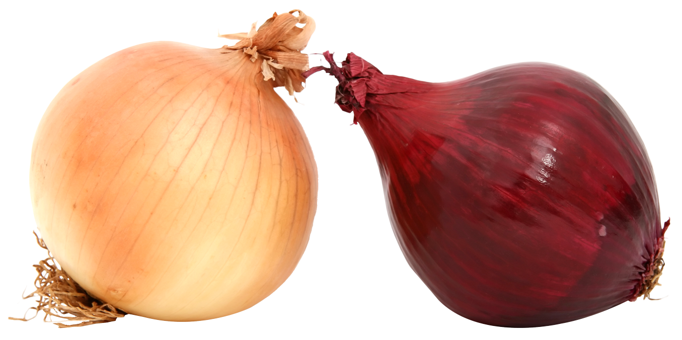 Onion Transparent PNG Image