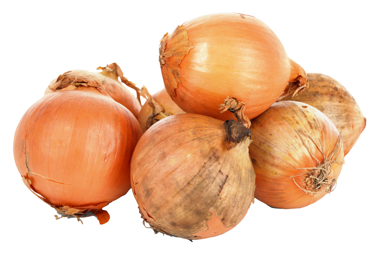 Pic Onion Transparent PNG Image