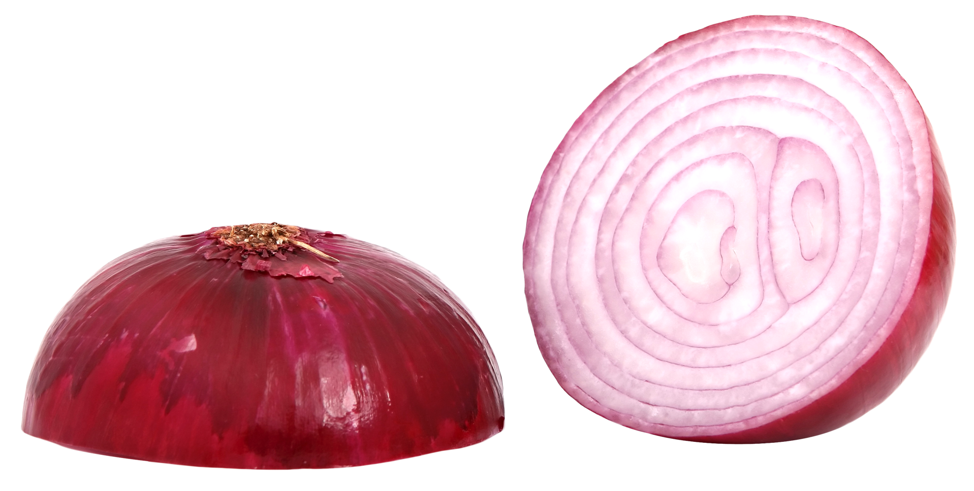 Slice Onion Transparent PNG Image