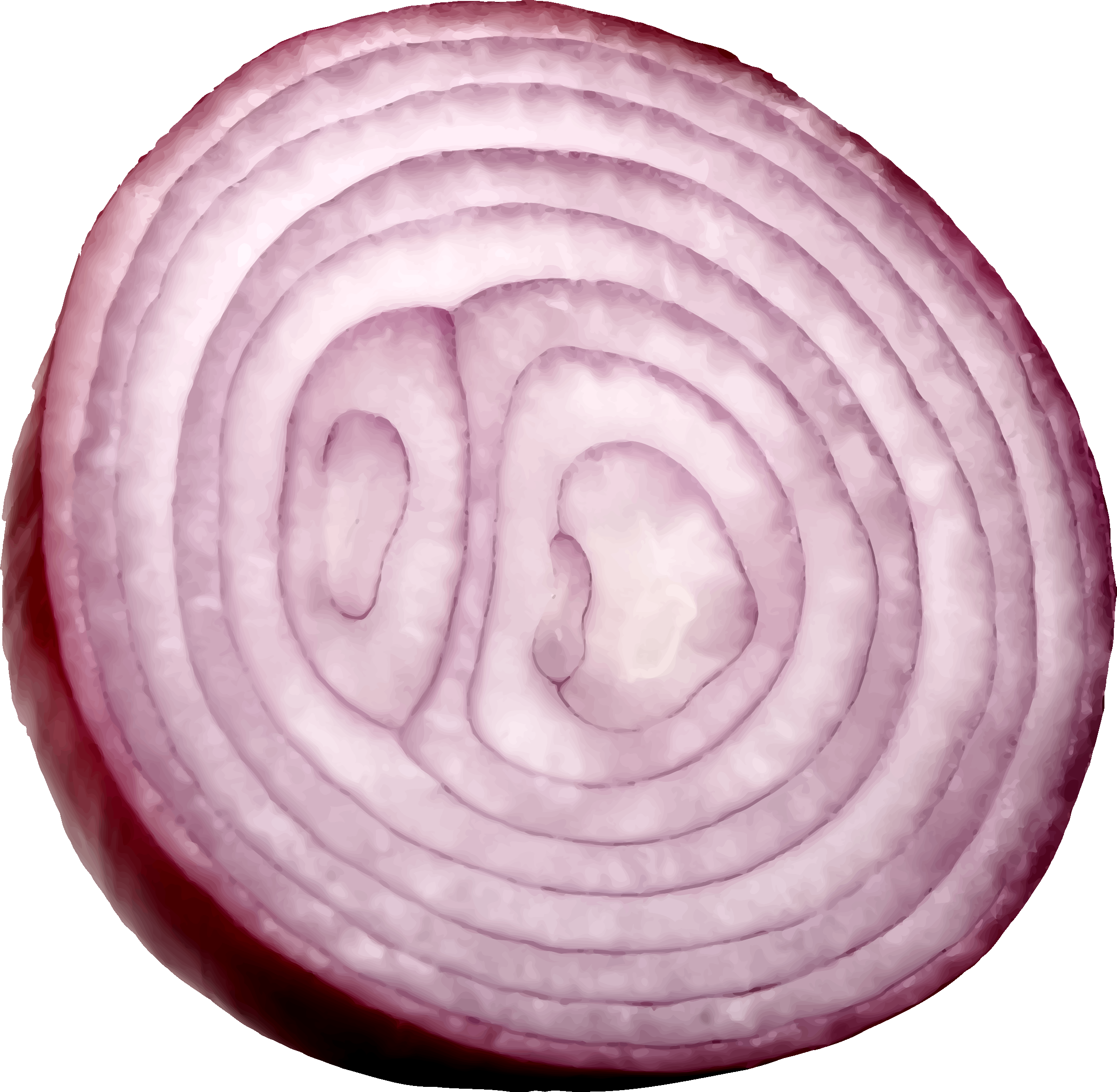 Slice Onion Transparent PNG Image