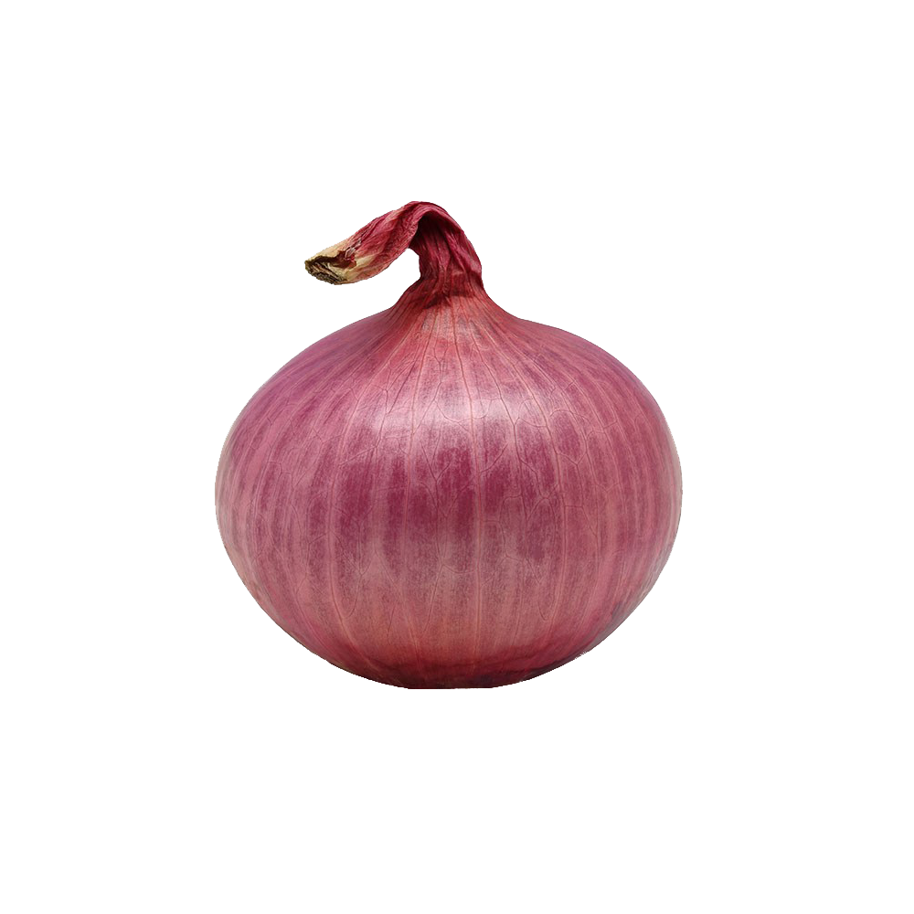 Onion Transparent PNG Image