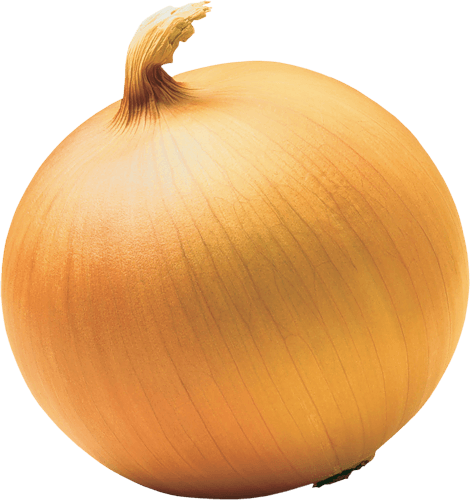 Onion Transparent PNG Image