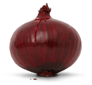 Onion Transparent PNG Image