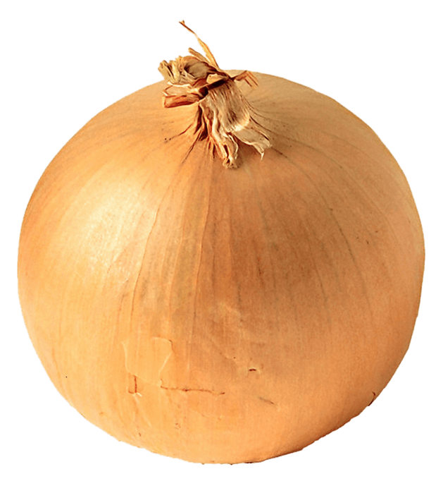 Onion Transparent PNG Image