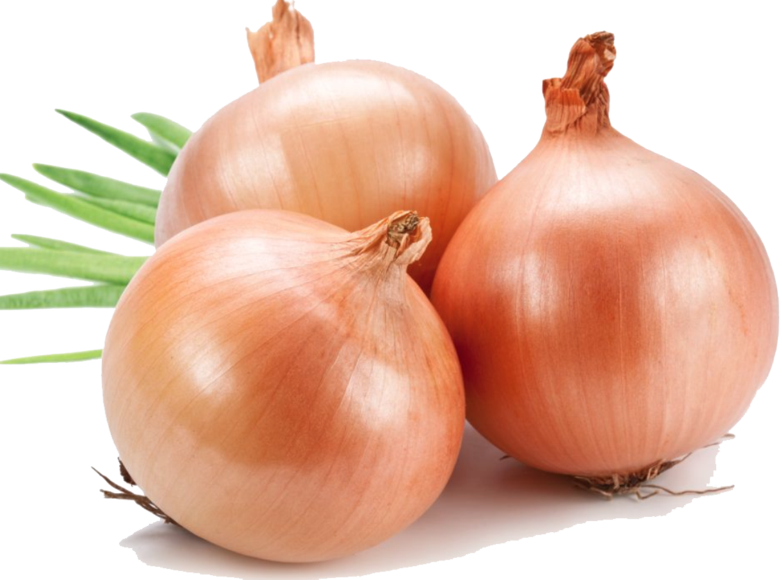 Onion File Transparent PNG Image