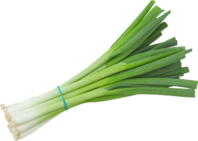 Green Onion Transparent PNG Image