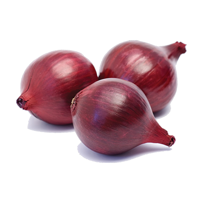 Red Onion Transparent PNG Image
