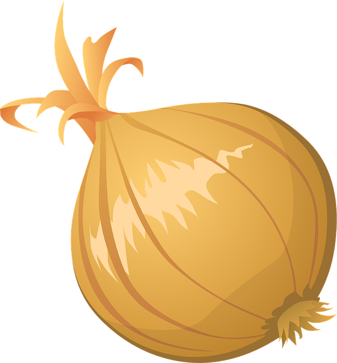 Onion Vector Transparent PNG Image