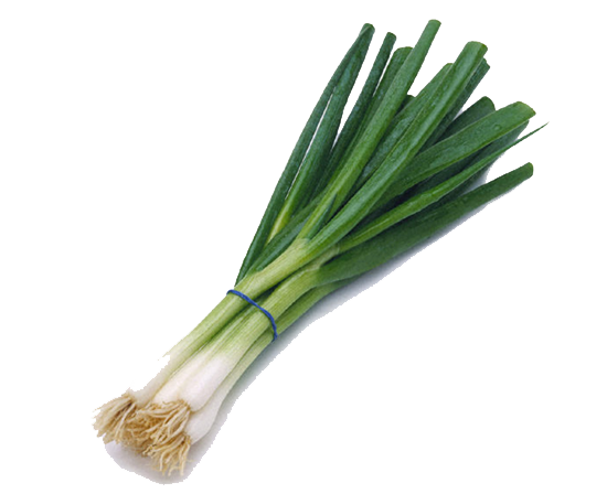 Green Onion Transparent PNG Image