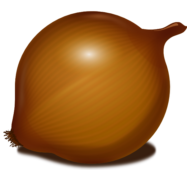 Onion Vector Transparent PNG Image