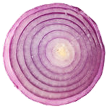 Onion Slice Transparent PNG Image