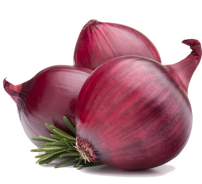 Red Onion Transparent PNG Image