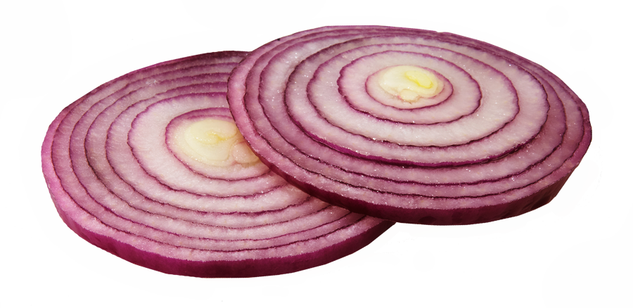 Onion Slice Transparent PNG Image