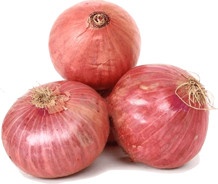 Onion Transparent PNG Image
