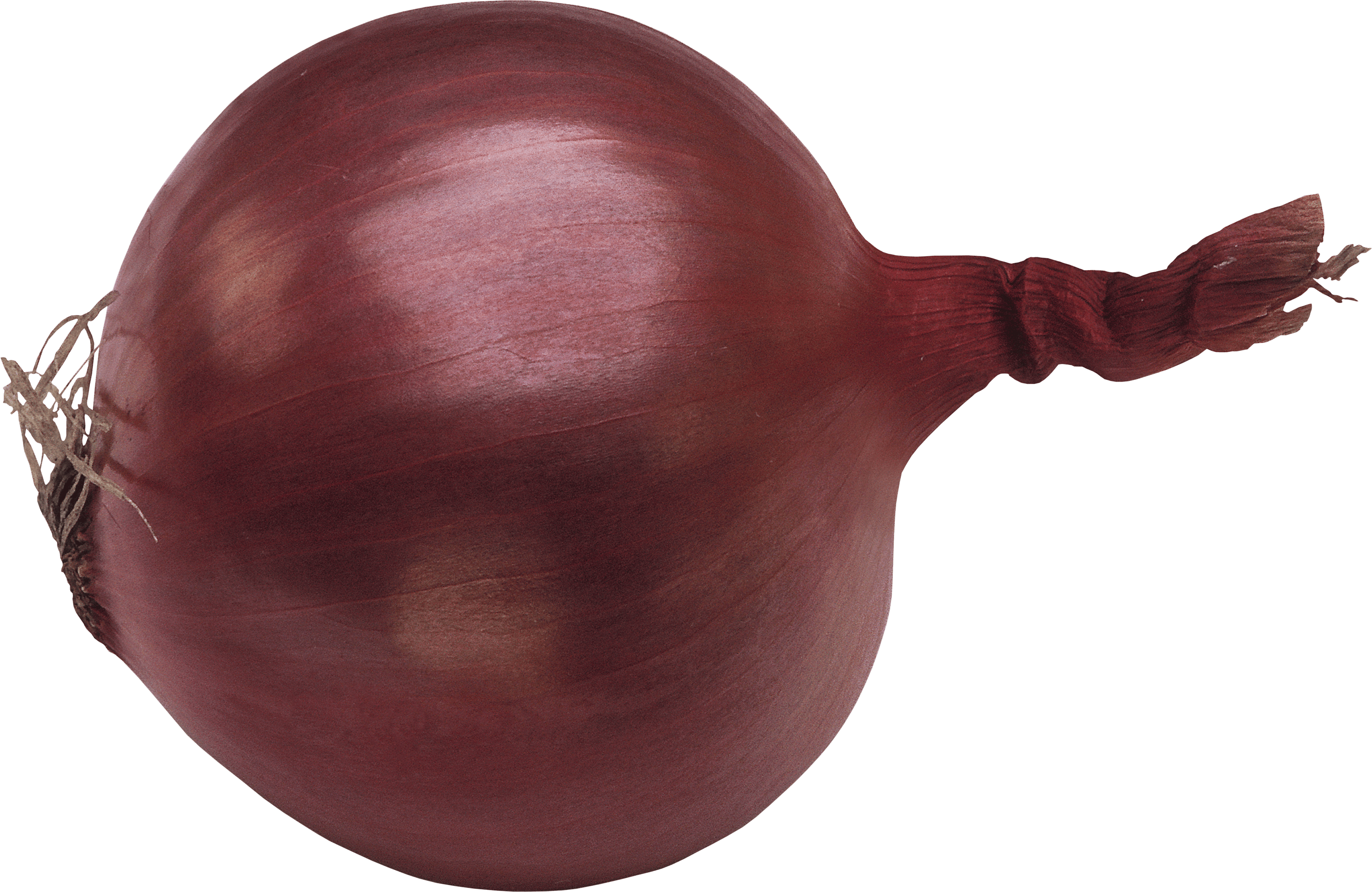 Onion Transparent PNG Image