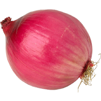 Onion Transparent PNG Image
