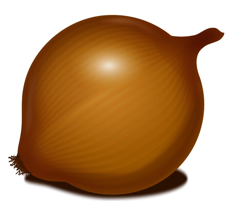 Onion Transparent PNG Image