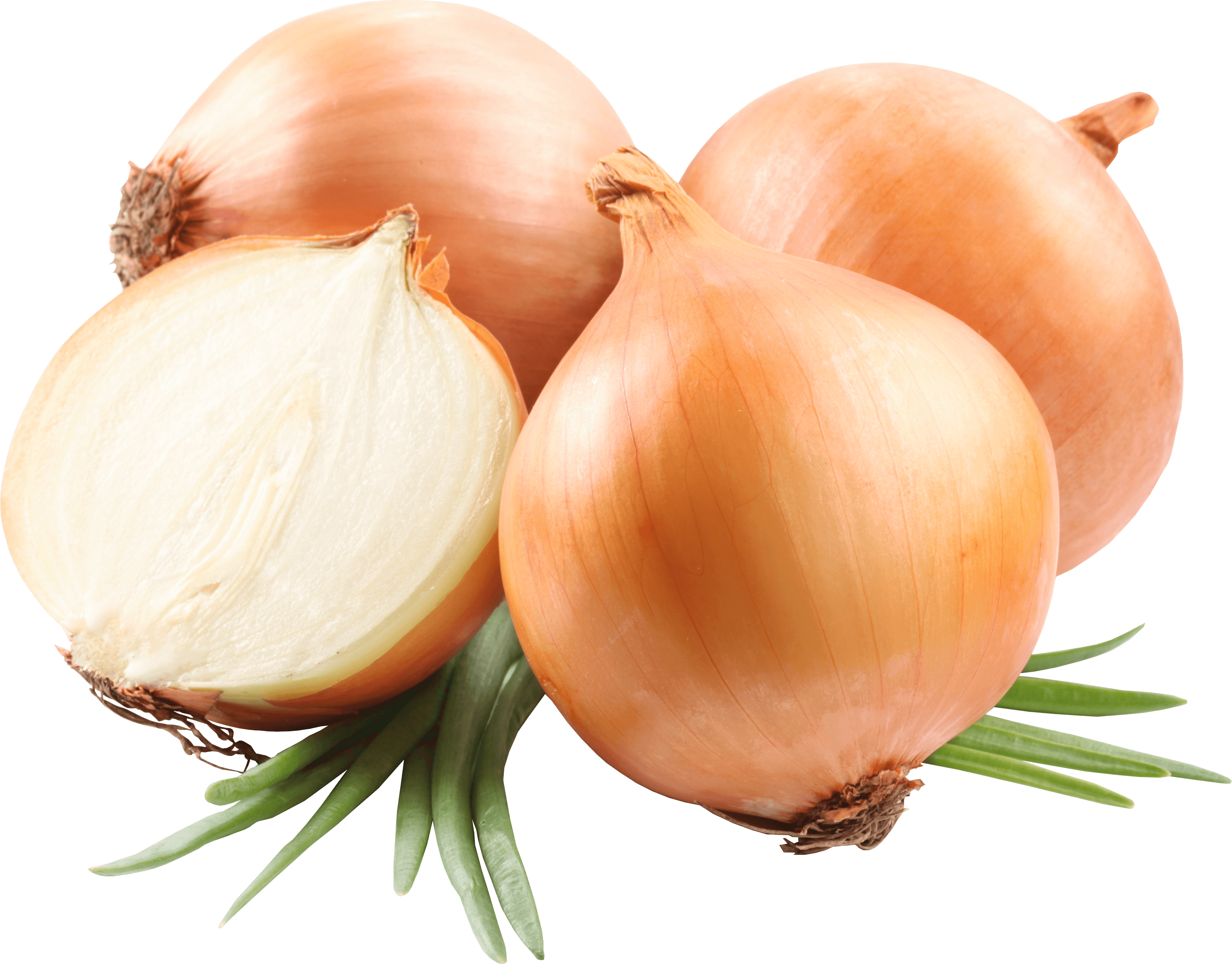 Onion Transparent PNG Image