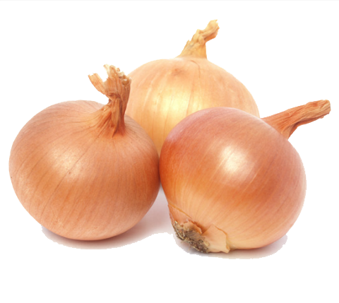 Onion Transparent PNG Image