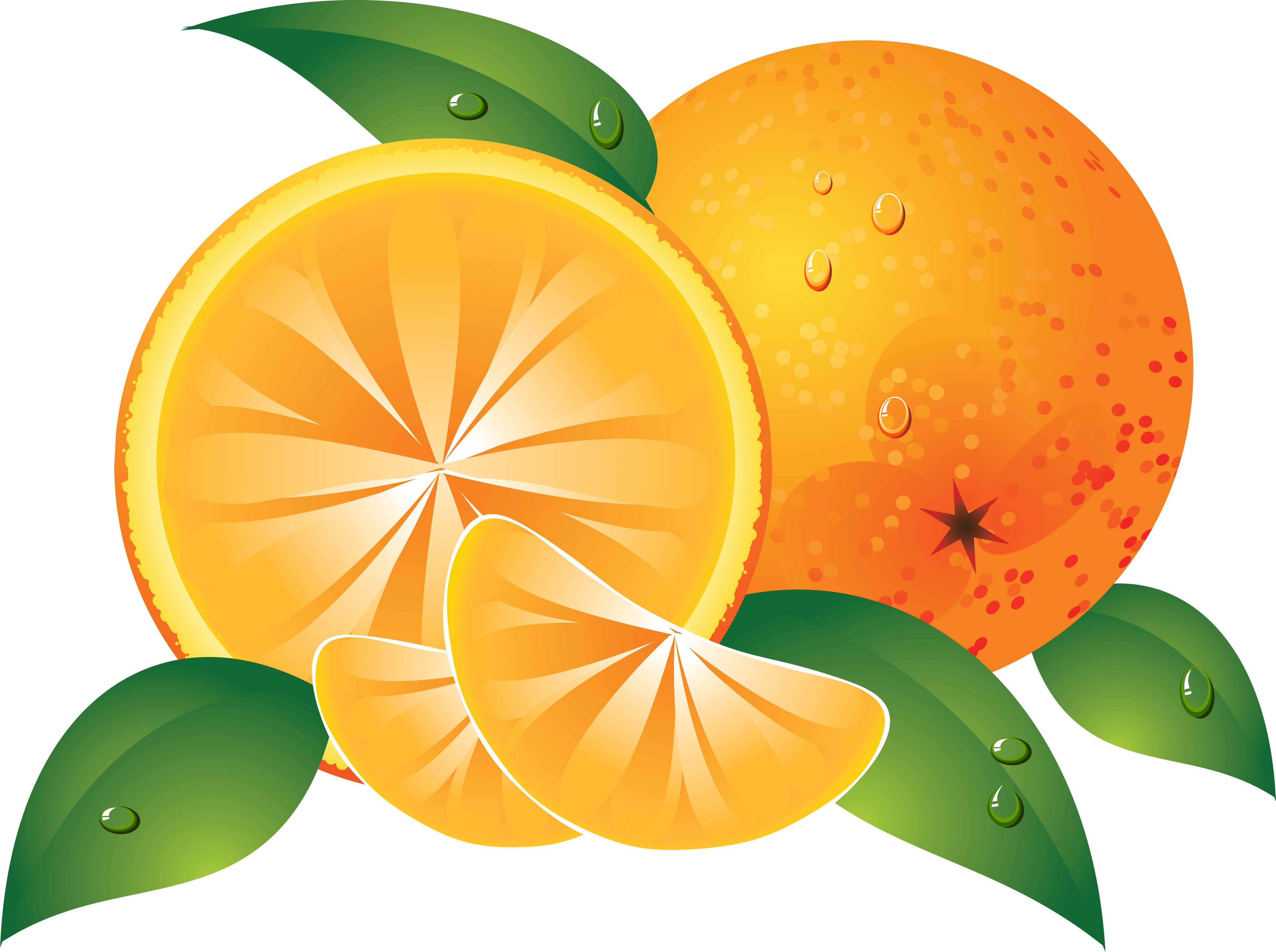 Orange Transparent PNG Image