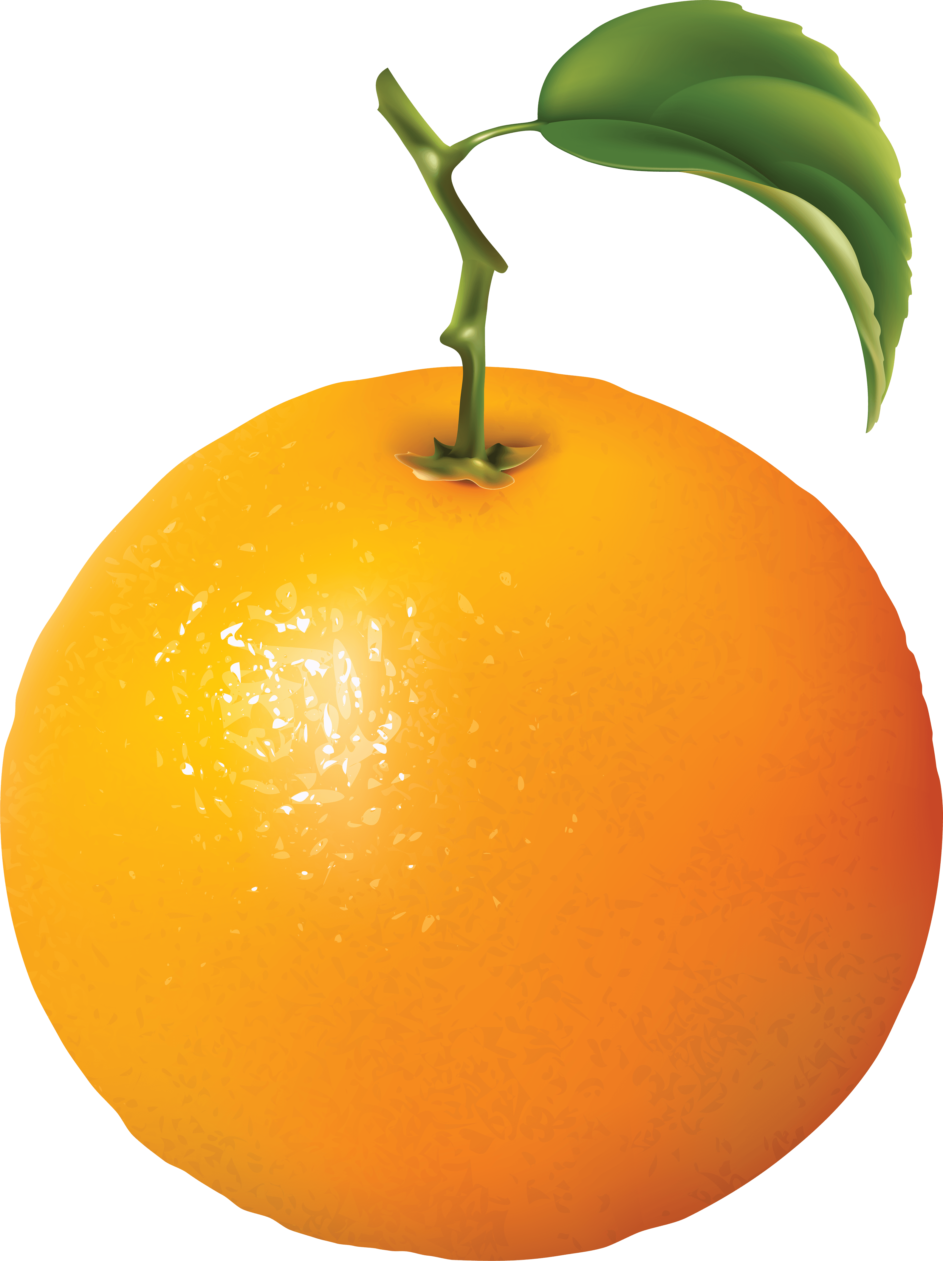Orange Transparent PNG Image