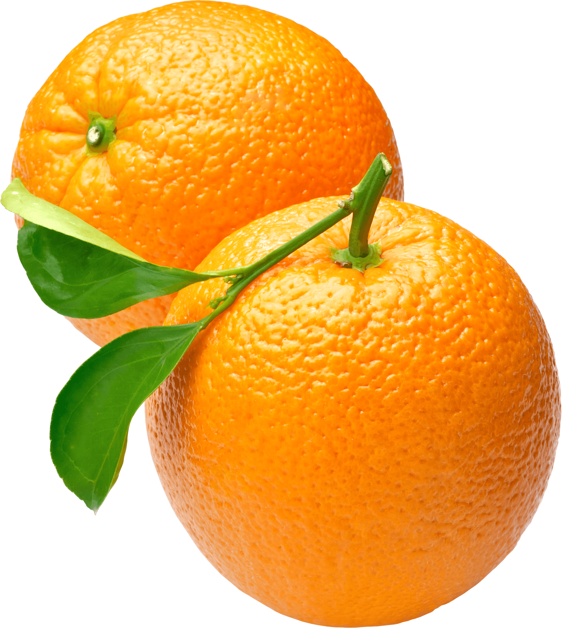 Orange Transparent PNG Image