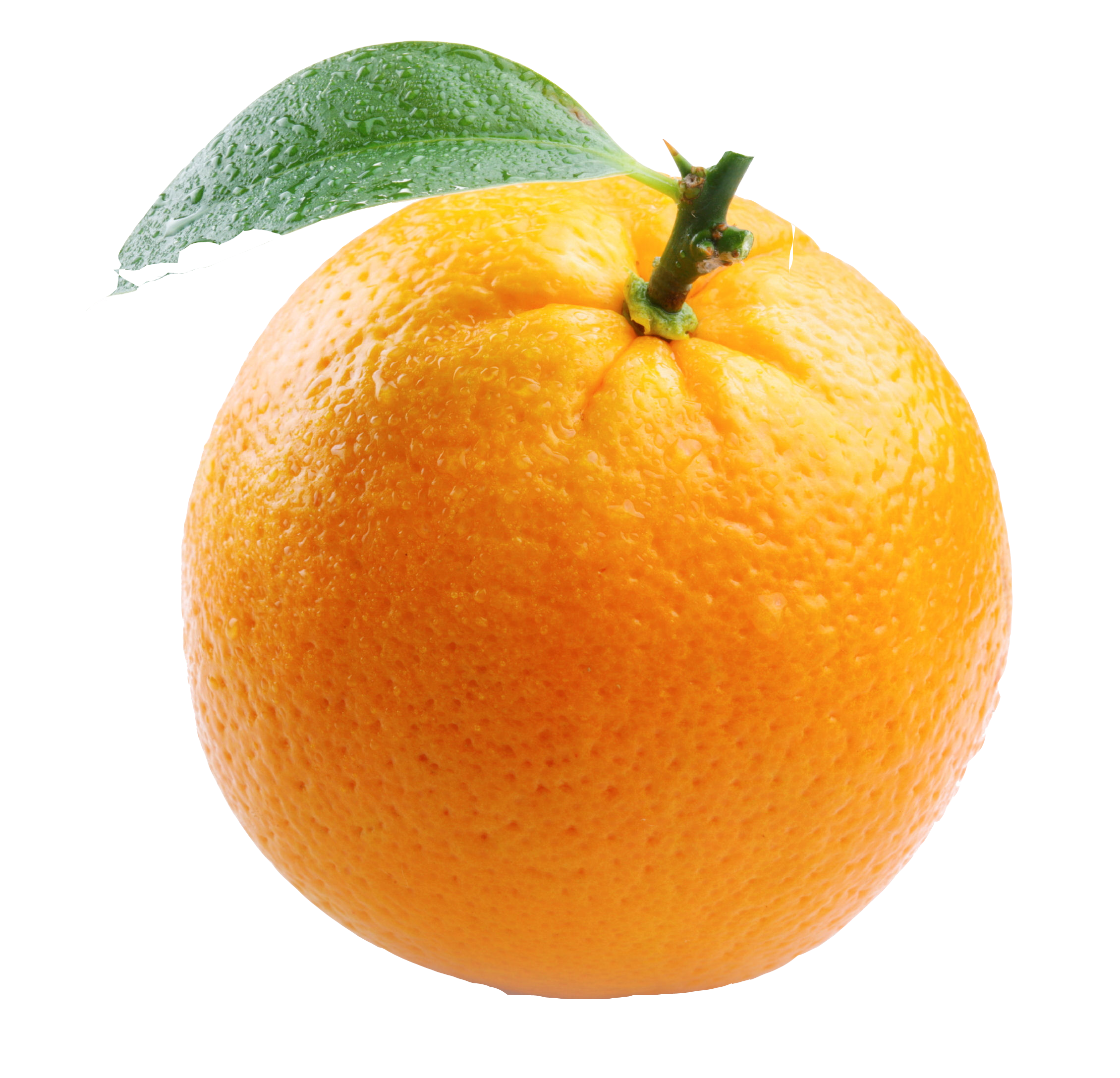 Orange Transparent PNG Image
