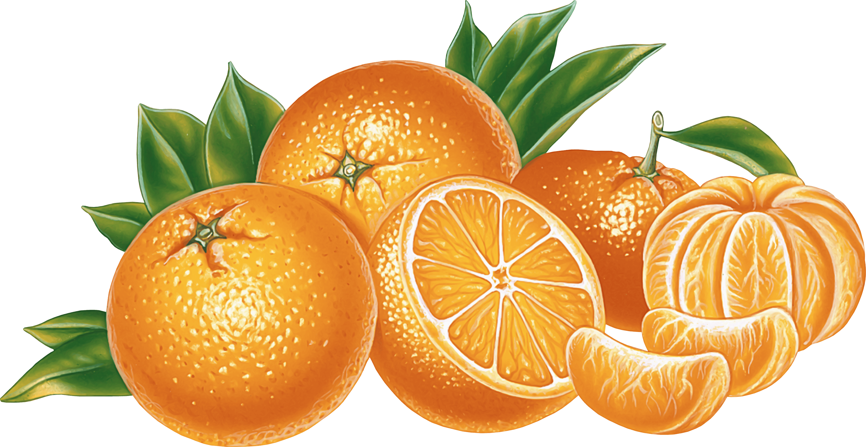 Orange Transparent PNG Image