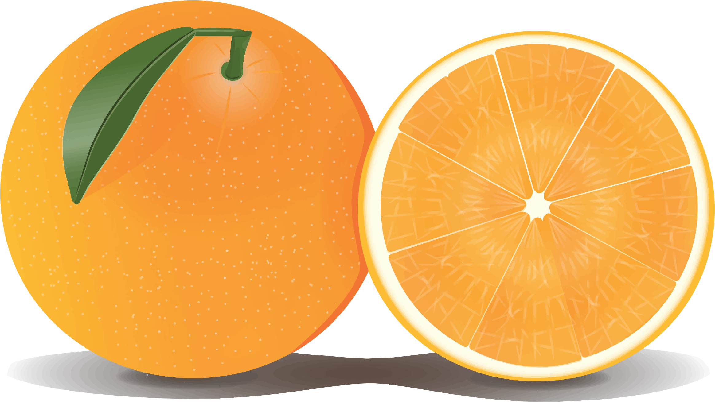 Orange Transparent PNG Image