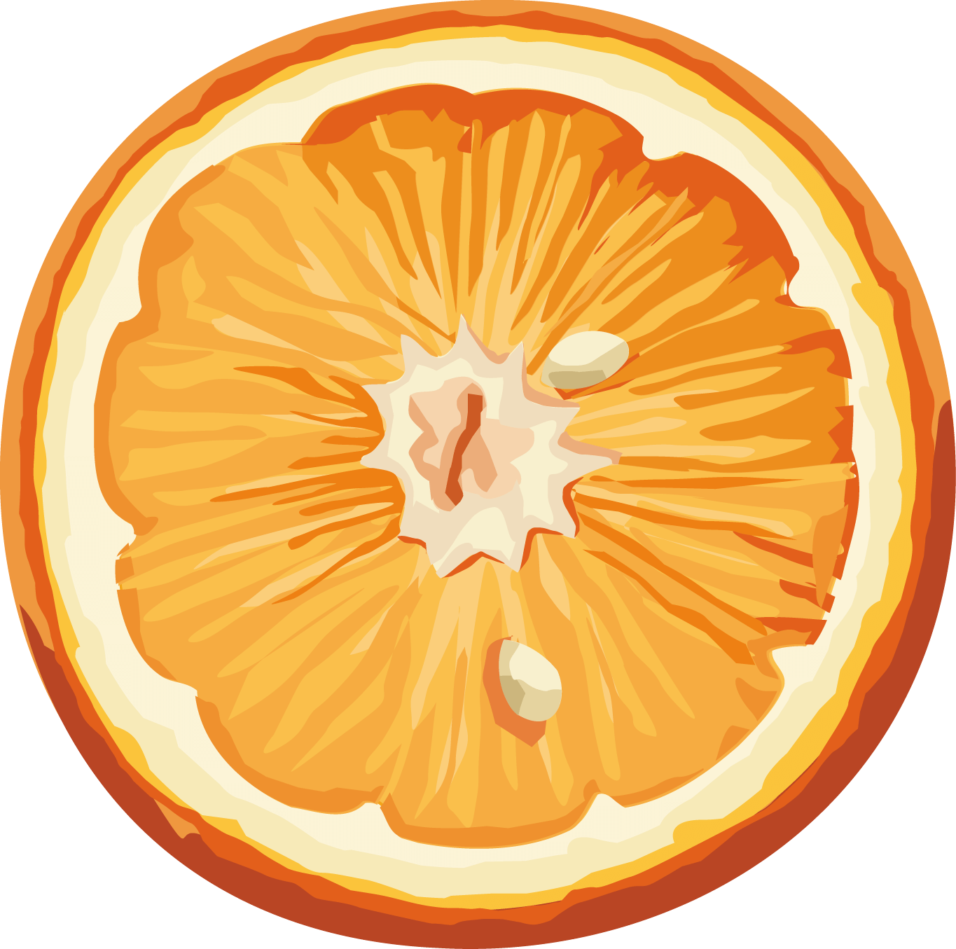 Orange Transparent PNG Image